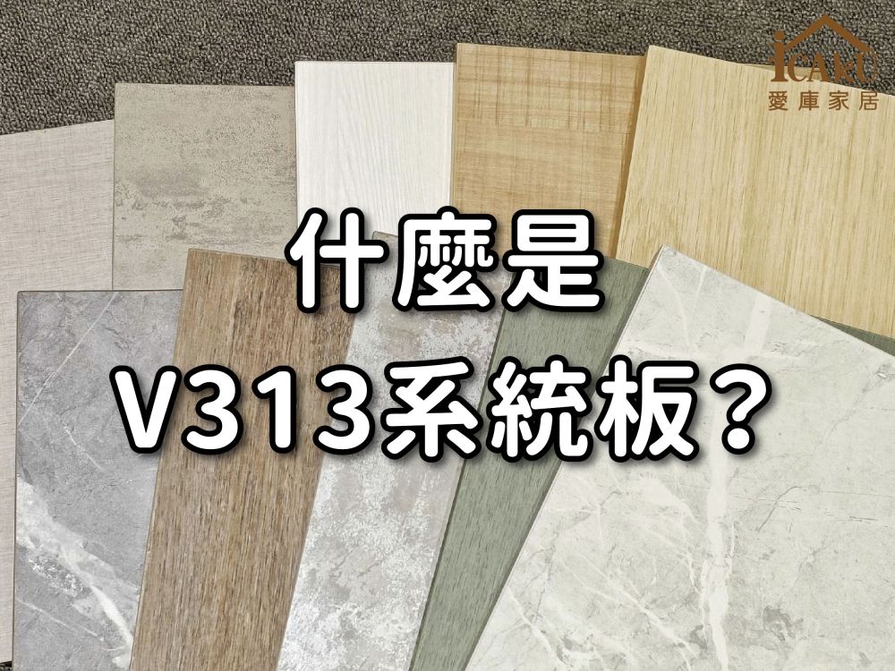 什麼是V313系統板？